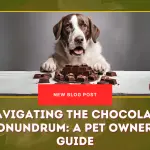 Navigating the Chocolate Conundrum- A Pet Owner's Guide