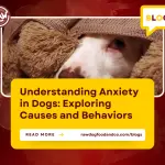 Understanding Anxiety in Dogs- Exploring Causes and Behaviors