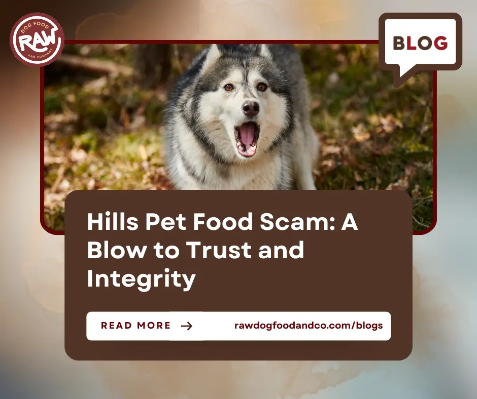 Hills Pet Food Scam- A Blow to Trust and Integrity