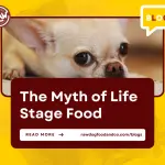 The Myth of Life Stage Food