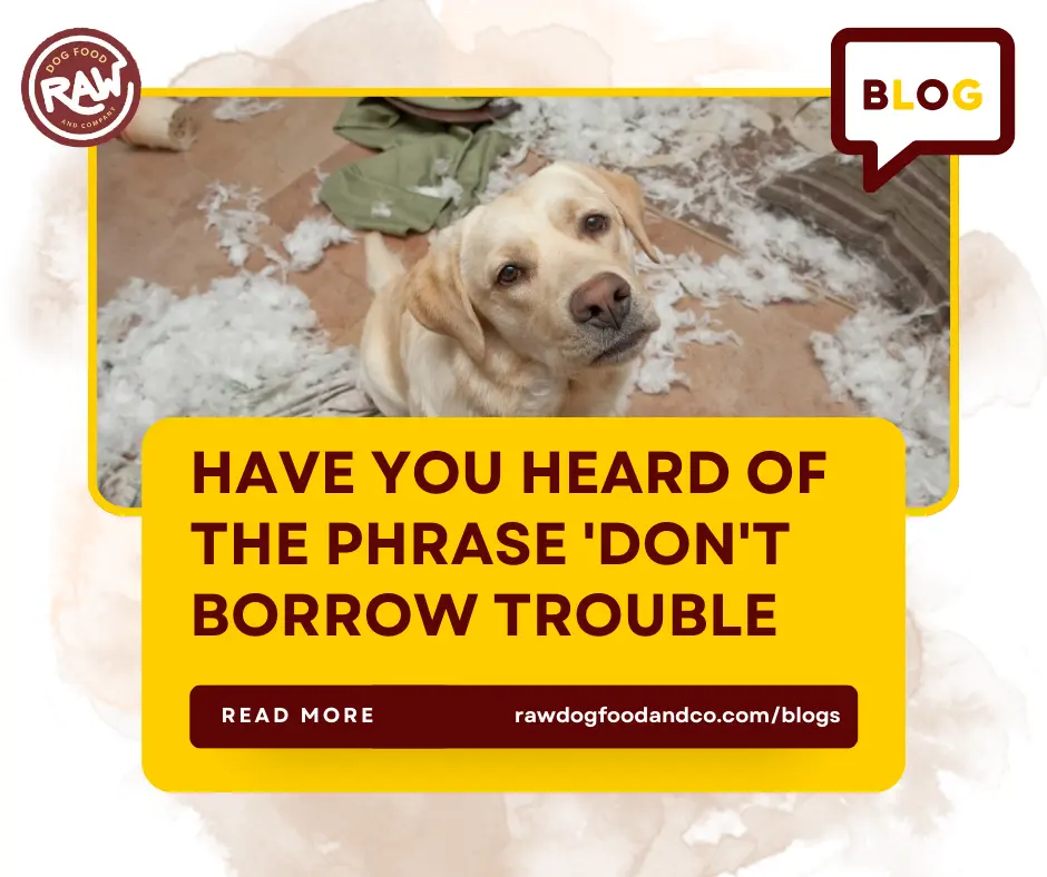 Have you heard of the phrase Don't borrow trouble