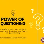 Power of Questioning