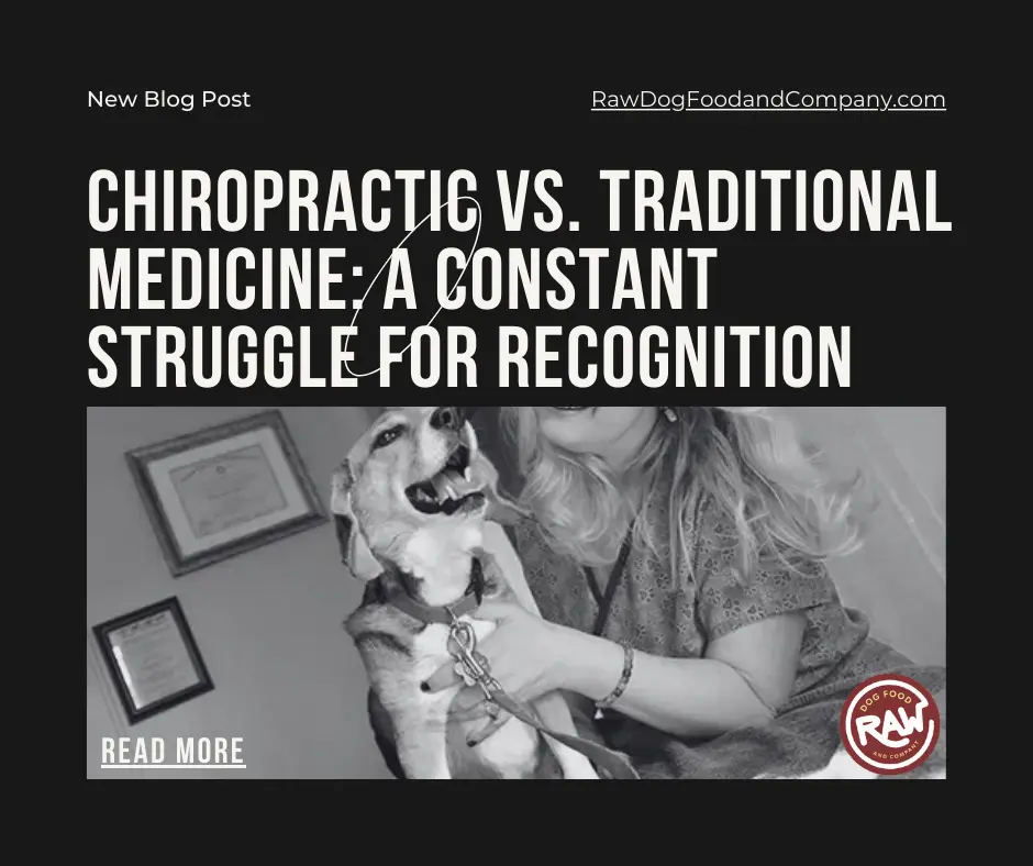 Chiropractic VS Traditional Medicine- A Constant Struggle For Recognition