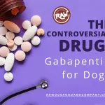 The Controversial Drug- Gabapentin for Dogs