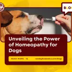 Unveiling the Power of Homeopathy for Dogs