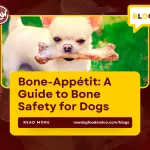 Bone-Appétit A Guide to Bone Safety for Dogs