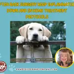 After Back Surgery Keep Inflammation Down and In Home Treatment Protocols