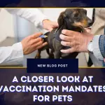 A Closer Look at Vaccination Mandates for Pets