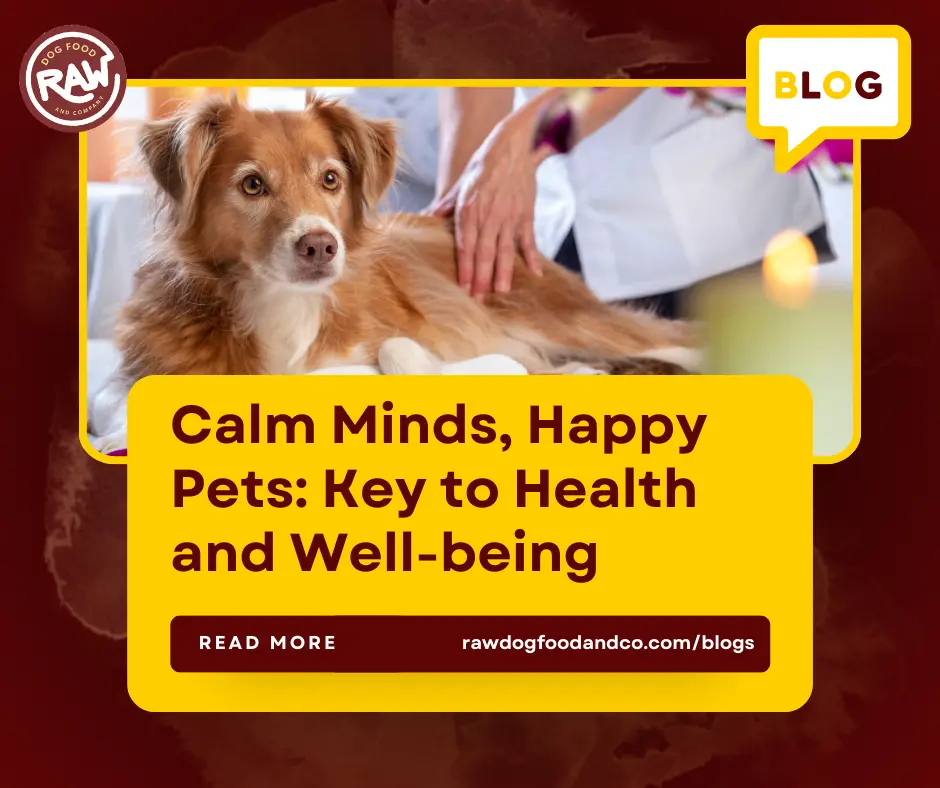 Calm Minds, Happy Pets- Key to Health and Well-being