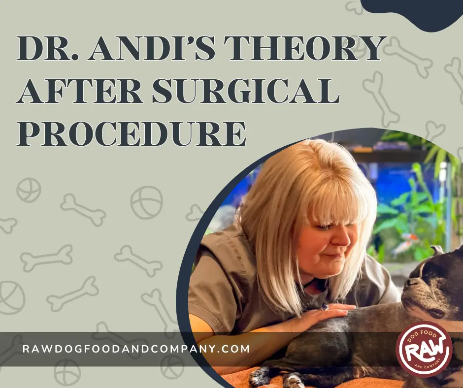 Dr Andi’s theory after surgical procedure