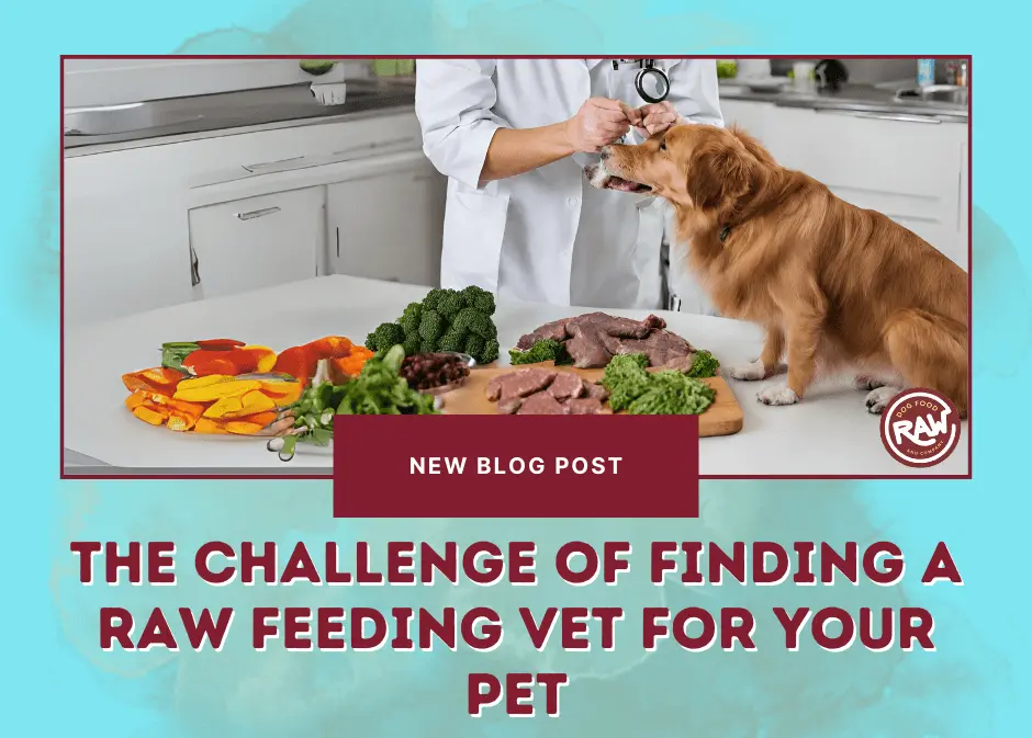 The Challenge of Finding a Raw Feeding Vet for Your Pet