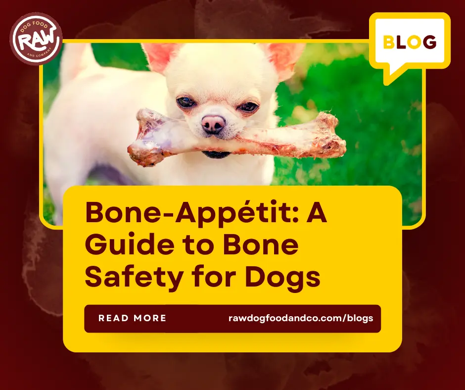 Bone-Appétit A Guide to Bone Safety for Dogs