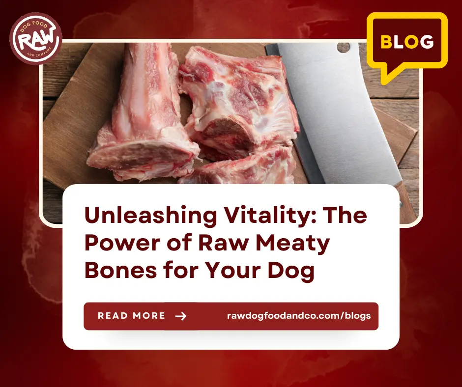 Unleashing Vitality- The Power of Raw Meaty Bones for Your Dog