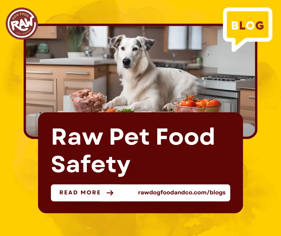 Raw Pet Food Safety