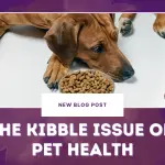 The Kibble Issue on Pet Health