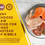 Why Choose Raw Food for Dogs Instead of Kibble