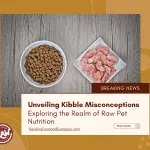 Unveiling Kibble Misconceptions - Exploring the Realm of Raw Pet Nutrition