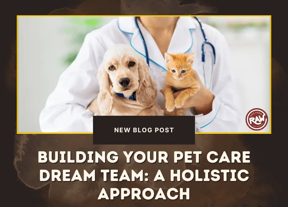Building Your Pet Care Dream Team- A Holistic Approach