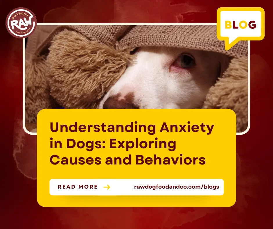 Understanding Anxiety in Dogs- Exploring Causes and Behaviors