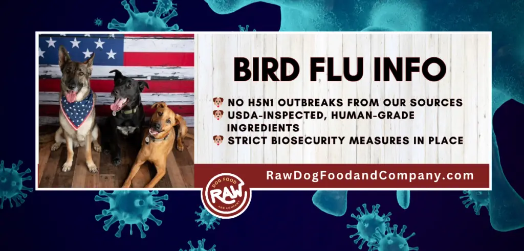 Bird Flu Info
