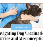 Navigating Dog Vaccination Worries and Misconceptions