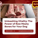 Unleashing Vitality- The Power of Raw Meaty Bones for Your Dog