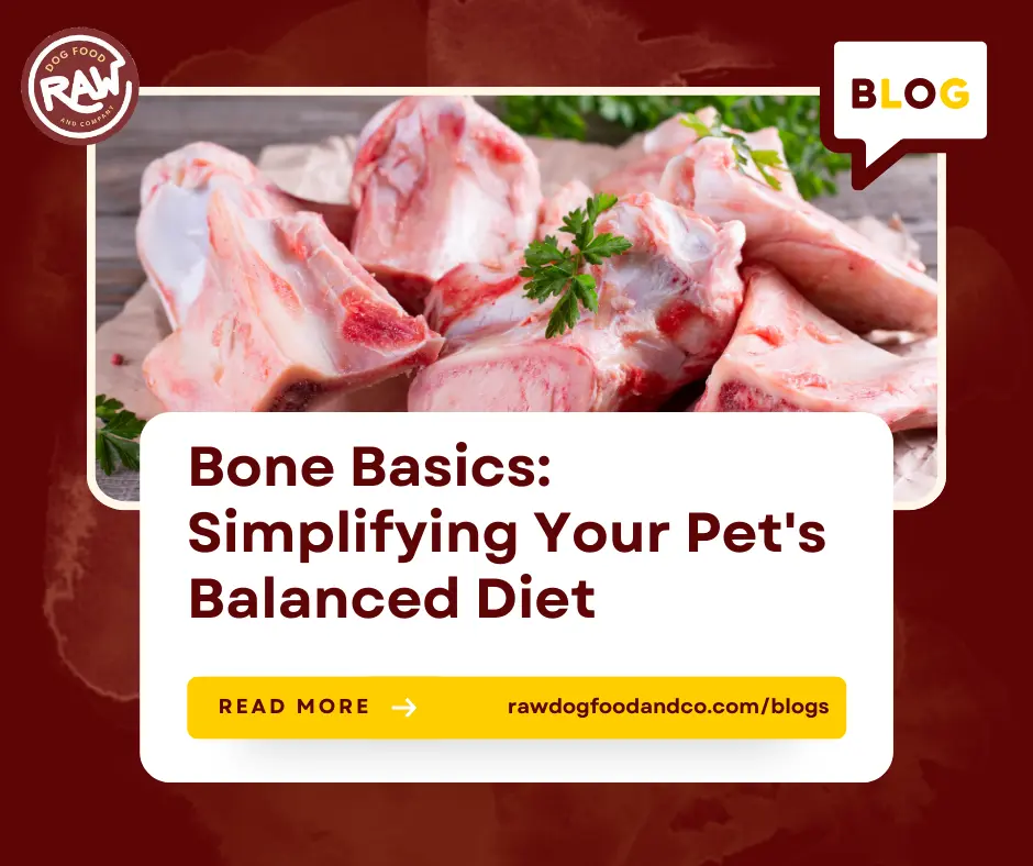 Bone Basics- Simplifying Your Pet's Balanced Diet
