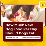 How Much Raw Dog Food Per Day Should Dogs Eat