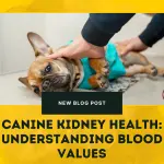 Canine Kidney Health- Understanding Blood Values