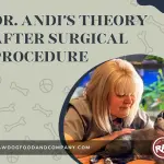Dr Andi’s theory after surgical procedure