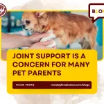 Joint support is a concern for many pet parents