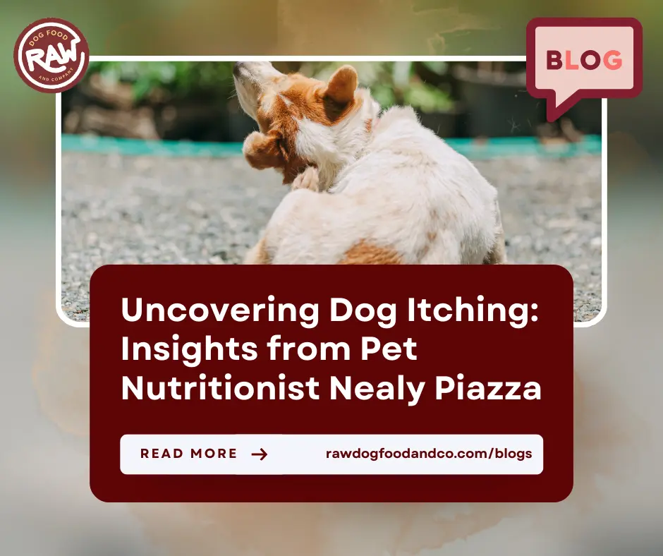 Uncovering Dog Itching- Insights from Pet Nutritionist Nealy Piazza