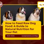 How to Feed Raw Dog Food- A Guide to Natural Nutrition for Your Pet