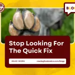 Stop Looking For The Quick Fix