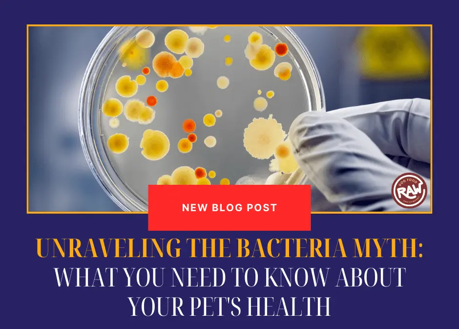 Unraveling the Bacteria Myth- What You Need to Know About Your Pet's Health