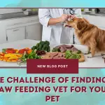 The Challenge of Finding a Raw Feeding Vet for Your Pet