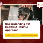 Understanding Pet Health- A Holistic Approach