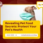 Revealing Pet Food Secrets- Protect Your Pet’s Health