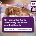 Unveiling the Truth- Veterinary Practices and Pet Health