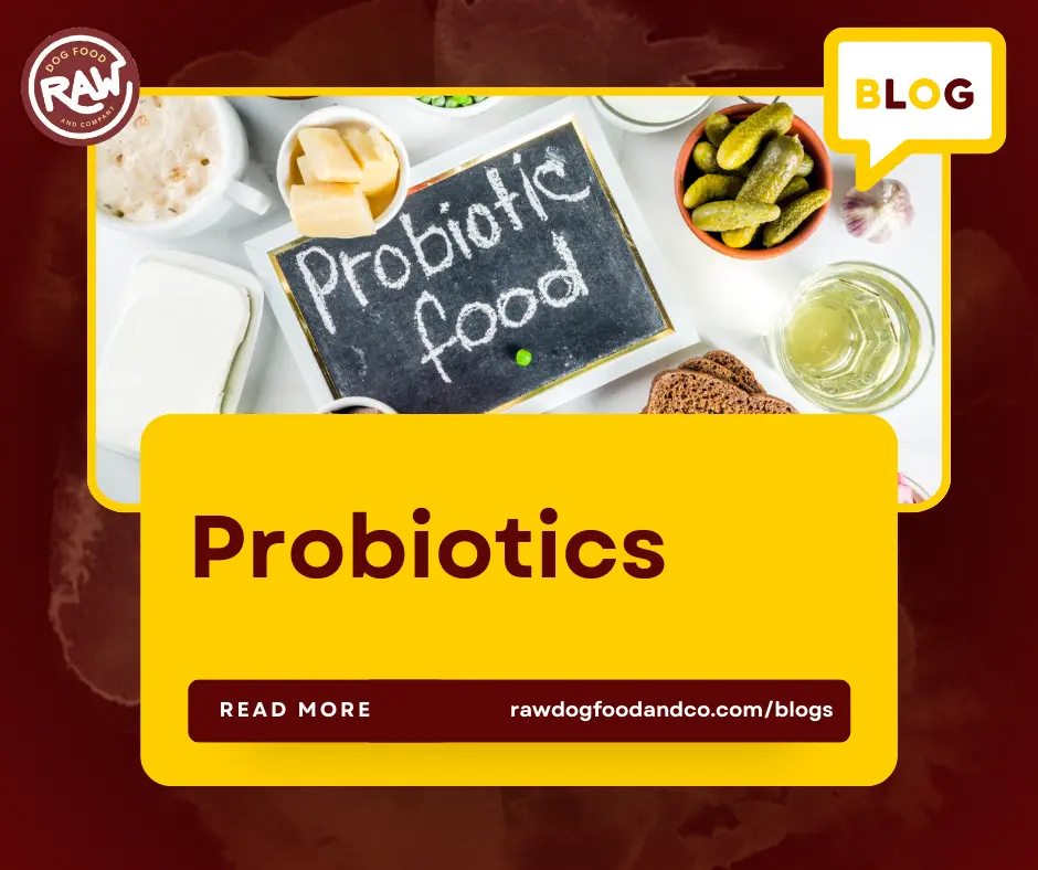 Probiotics