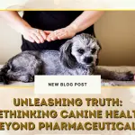 Unleashing Truth- Rethinking Canine Health Beyond Pharmaceuticals
