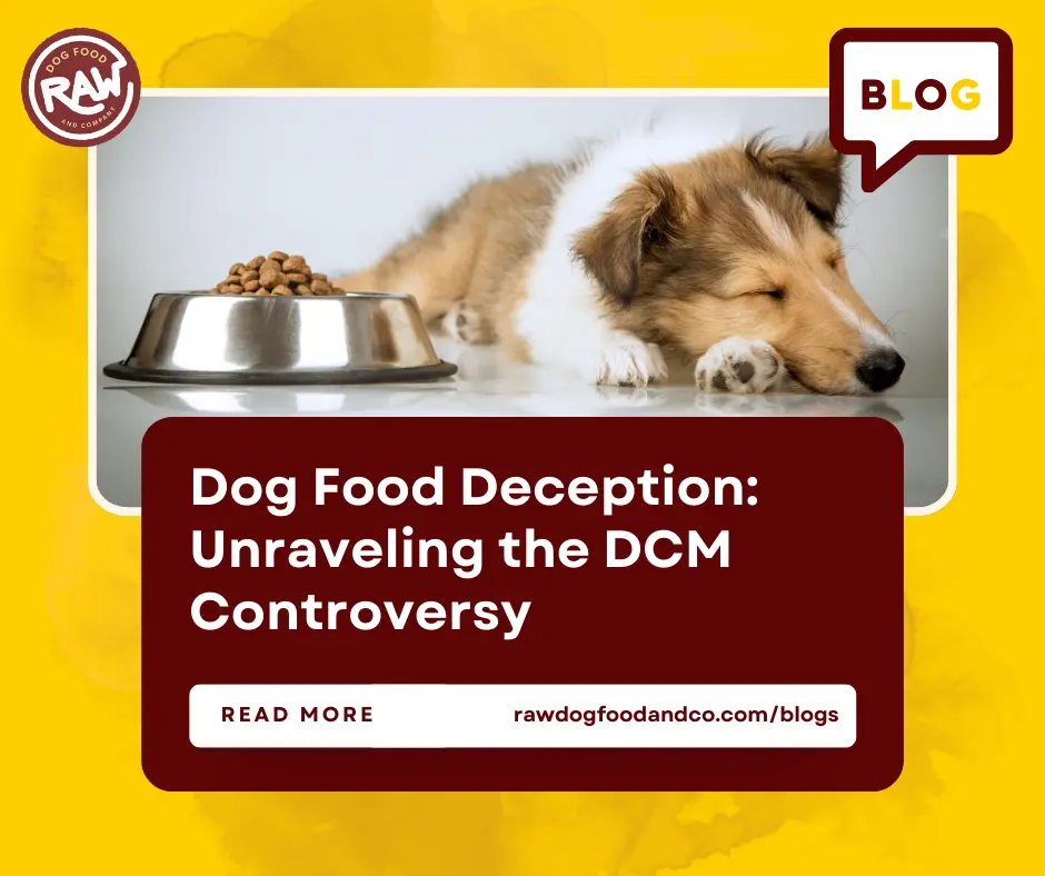 Dog Food Deception- Unraveling the DCM Controversy