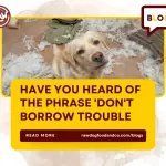 Have you heard of the phrase Don't borrow trouble
