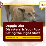 Doggie Diet Disasters Is Your Pup Eating the Right Stuff