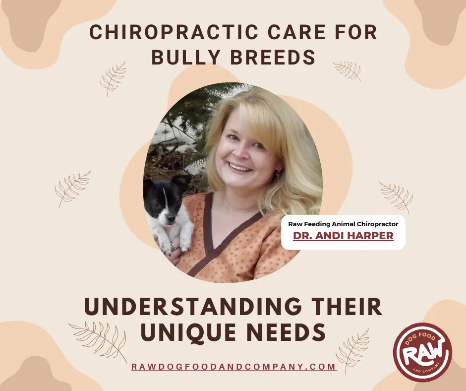 Chiropractic Care for Bully Breeds - Understanding Their Unique Needs