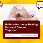 Holistic Harmony- Healing Pets and Owners Together