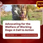 Advocating for the Welfare of Working Dogs- A Call to Action