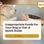 Inappropriate Foods For Your Dog or Cat- A Quick Guide