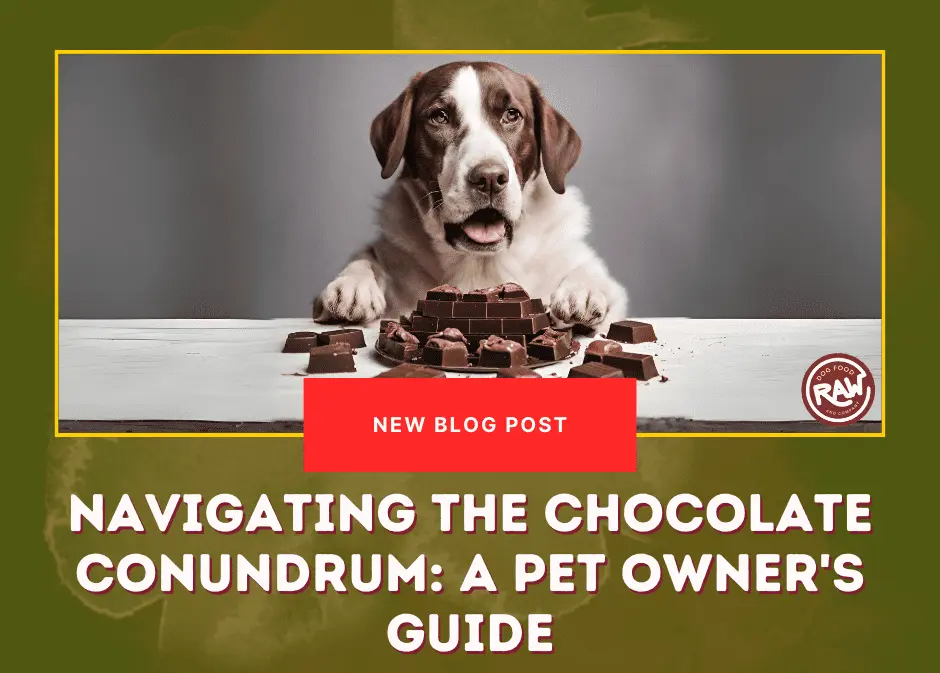 Navigating the Chocolate Conundrum- A Pet Owner's Guide
