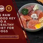 Is Raw Food Key to a Healthy Diet for Dogs